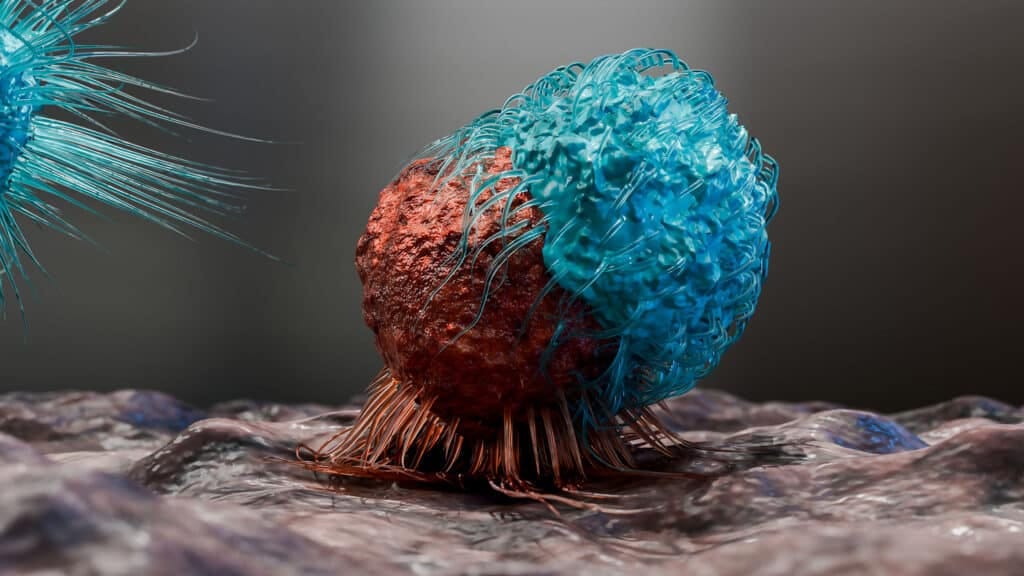 Cancer Sugar Shield Helps Tumours Evade Immunity